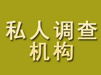 中沙私人调查机构